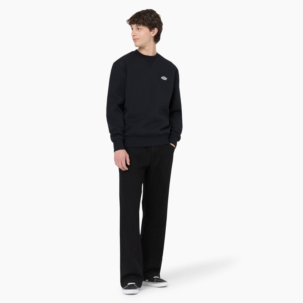 Skateboarding Wingville Loose Fit Jeans - Dickies Customer Favorite