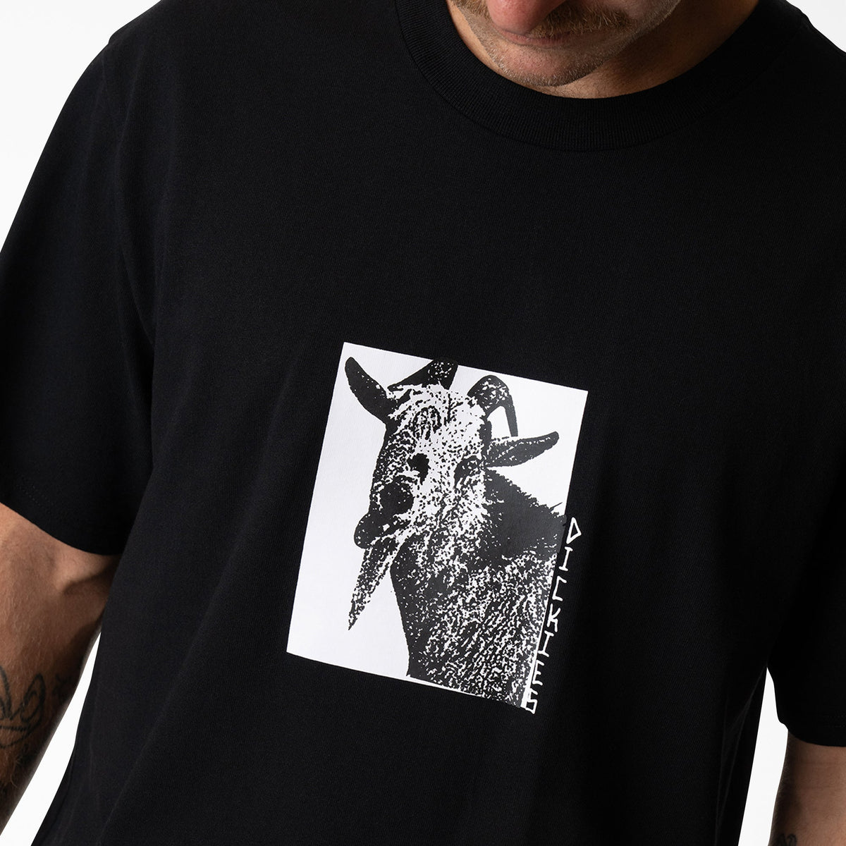 Mike Anderson Graphic T-Shirt - Dickies Discount