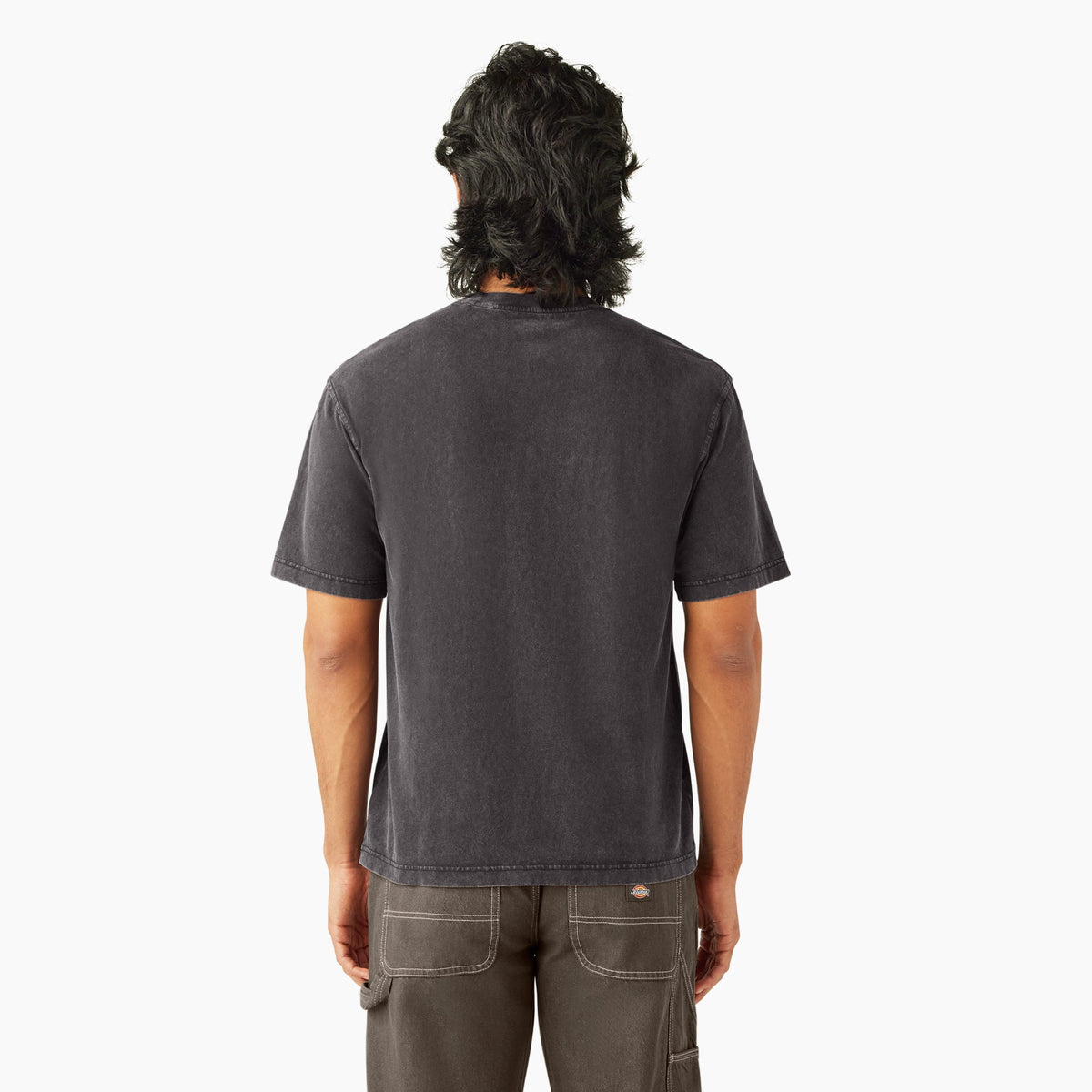 Plentywood Short Sleeve T-Shirt - Dickies Signature
